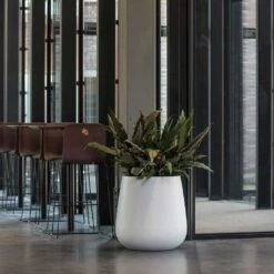 Pax Essentials Planter - Matt White 18 Pax Essentials Planter - Matt White -Hortology Plants Shop pax planters essential matte white office reception plants