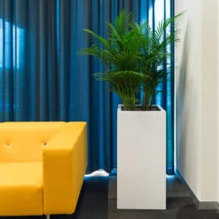 Bouvy Essentials Planter - Matt White -Hortology Plants Shop pottery pots essential matte bouvy 5