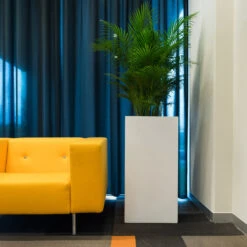 Bouvy Essentials Planter - Matt White -Hortology Plants Shop pottery pots essential matte bouvy 6